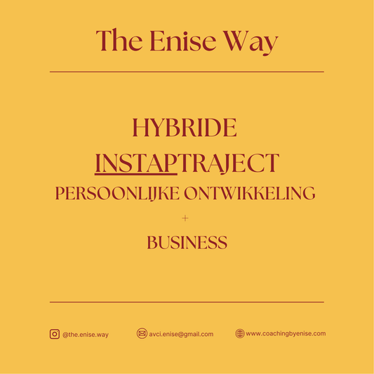 HYBRIDE TRAJECT (persoonlijke ontwikkeling + business) Instaptraject