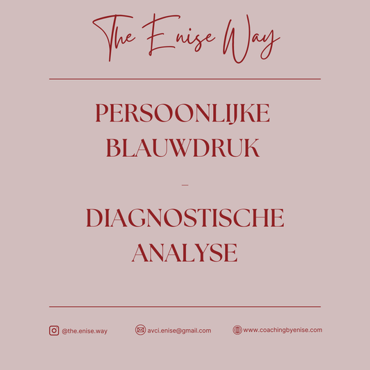 Persoonlijke Blauwdruk – Diagnostische Analyse