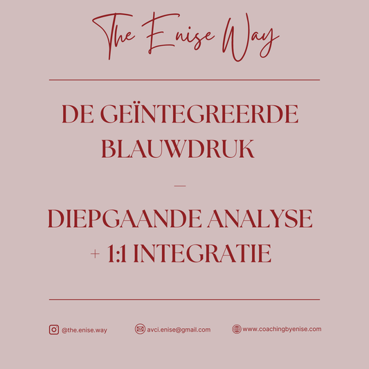De Geïntegreerde Blauwdruk – Diepgaande Analyse + 1:1 Integratie